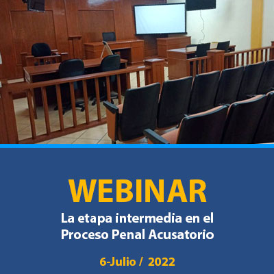 Webinar la etapa intermedia en el proceso penal acusatorio 